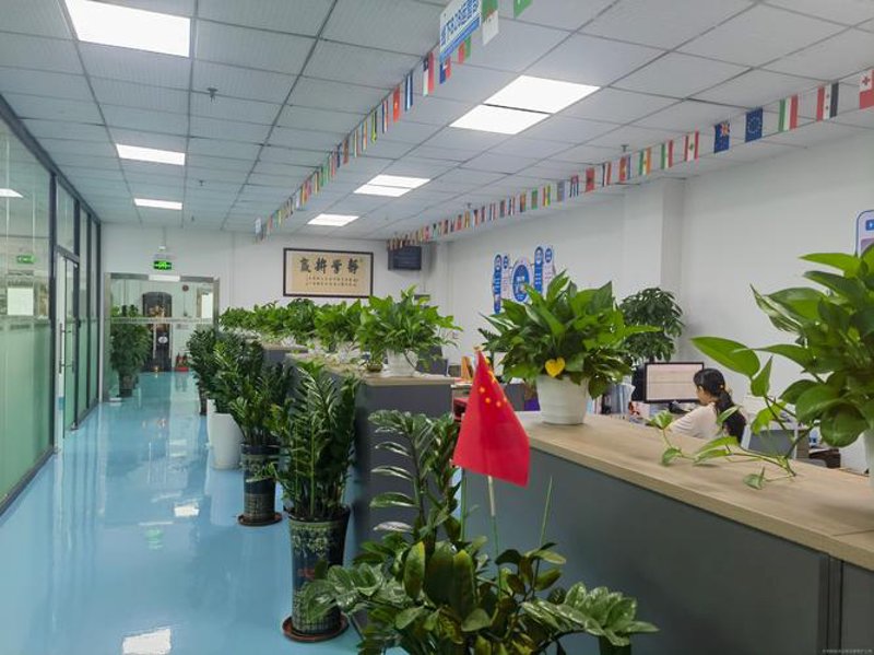 探索未来绿色之路——生态环境材料迎来新的发展机遇